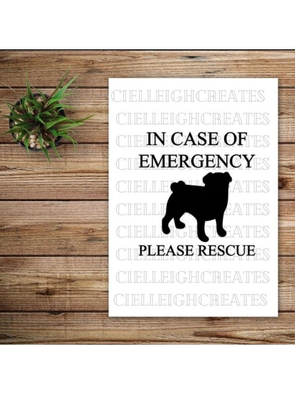 *2 for $20* In Case of Emergency Please Rescue Pug vinyl decal